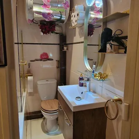 Avenue Champs Elysees - Magnifique F1/f2 Apartment *