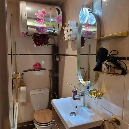 Apartment Avenue Champs Elysees - Magnifique F1/f2 *